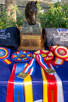 Awards & Draws