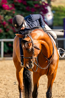 USHJA