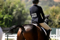 699 Mozart