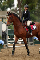 786 Baroness C
