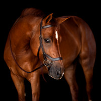 Micklem Bridles