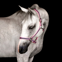 July 2022 - Halters