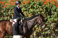 851 Fiddlesticks