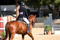877 Amerigo