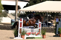 929 Grande Selvaggio