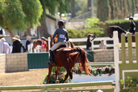 943 Dear Sweet Romeo LD