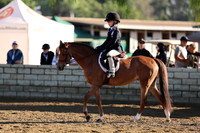 961 Miss Miracle