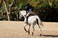 955 Splendido 44