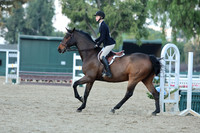 951 Cantolini