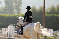 956 Catching Callisto