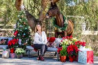 Silver Lining Holiday Photos