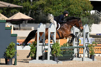 170 Calvino