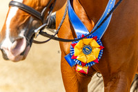 IEL Championships