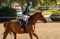 Generation Equestrian