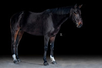 Bea & Diamant De Reve B