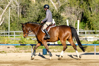 Silver Gate Farms '24