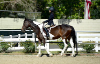Walk/Trot Group A